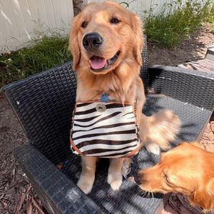 Vintage Coach Chelsea Handbag - Limited Edition